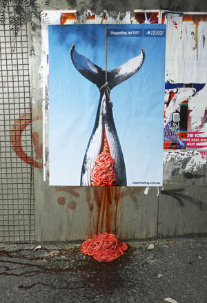 Anti-Whaling Ad: Disgusting, isn't it?