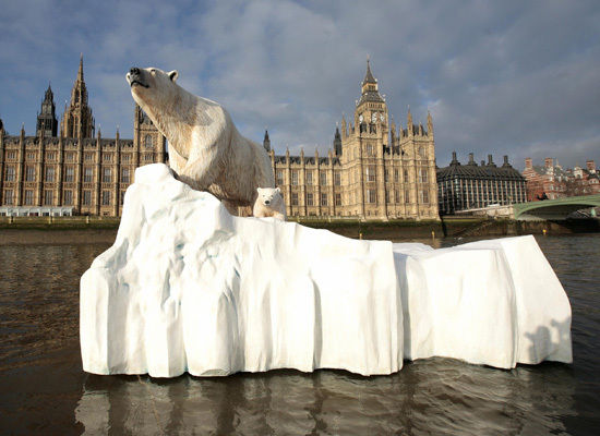 London Polar Bear