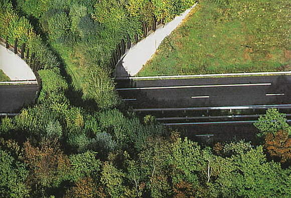 Ecoduct in France