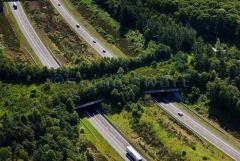 Ecoduct in Netherlands