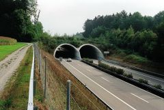 Wildlife overpass covered with vegetation