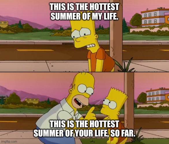 The picture shows Bart Simpsons saying "this is the hottest summer of my life". It then shows another picture with Homer Simpsons replying that "this is the hottest summer of your life, so far."