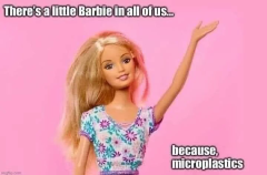 Barbie and microplastics