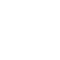 wisewellness