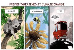 Species threatened by climate change